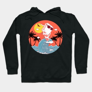 Summer Sushi Hoodie